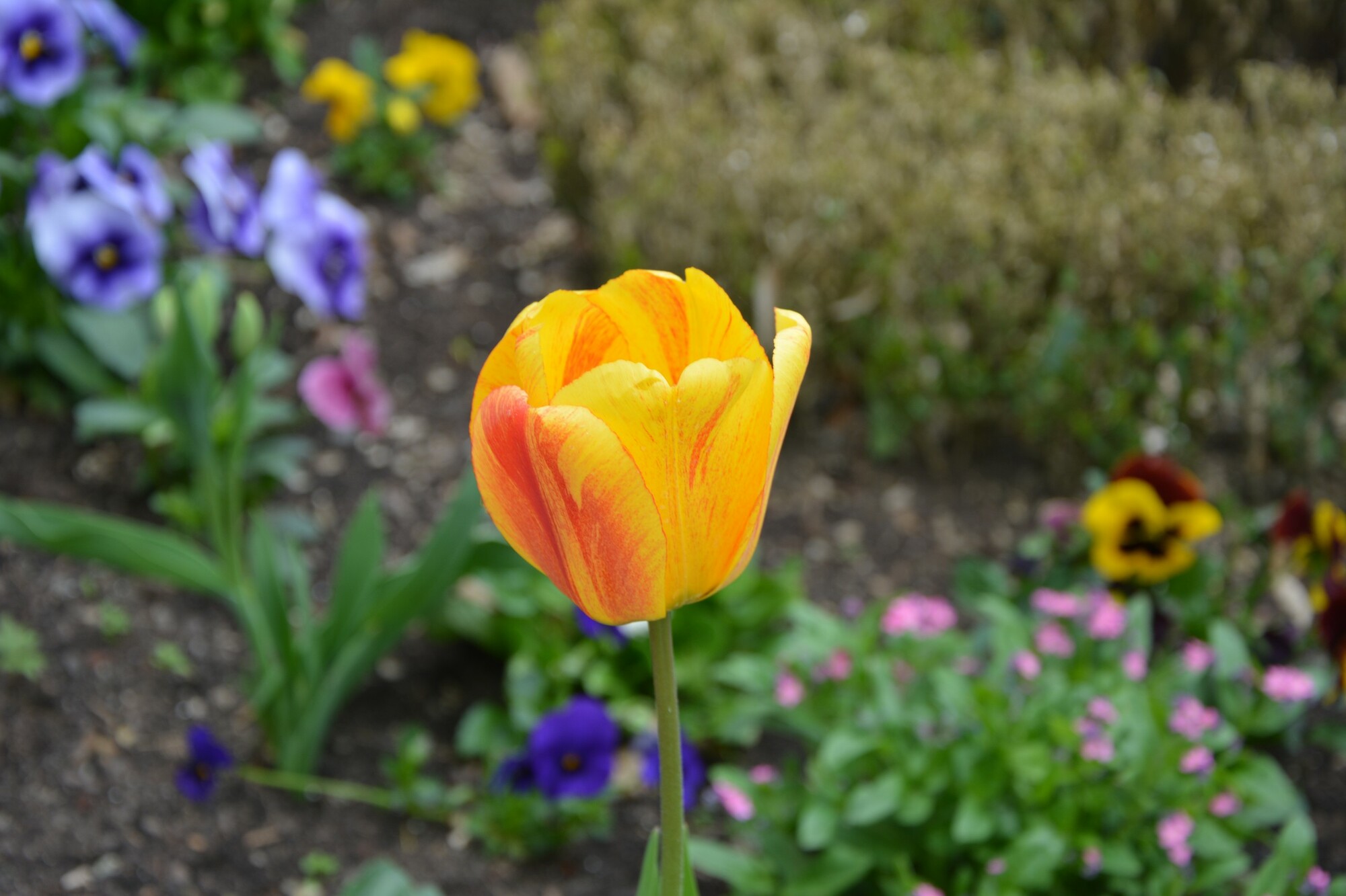 Schulpastoral-Tag 2015